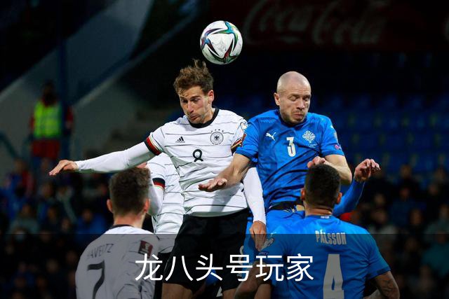 龙八头号玩家公司简介
